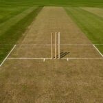 How Many Creases Are There in Cricket